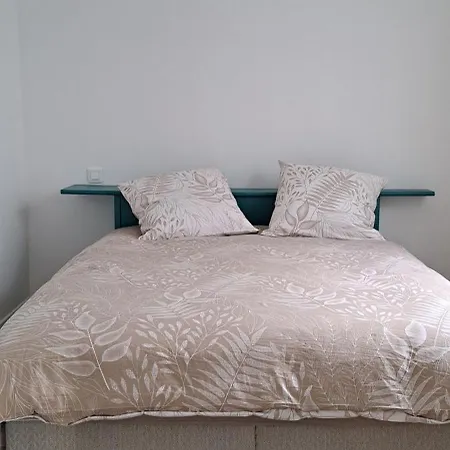 Maisonnette De 29 M2 Saint-Mathurin (Vendee)