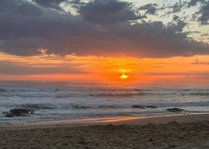 Maisonnette De 29 M2 * Saint-Mathurin (Vendee)